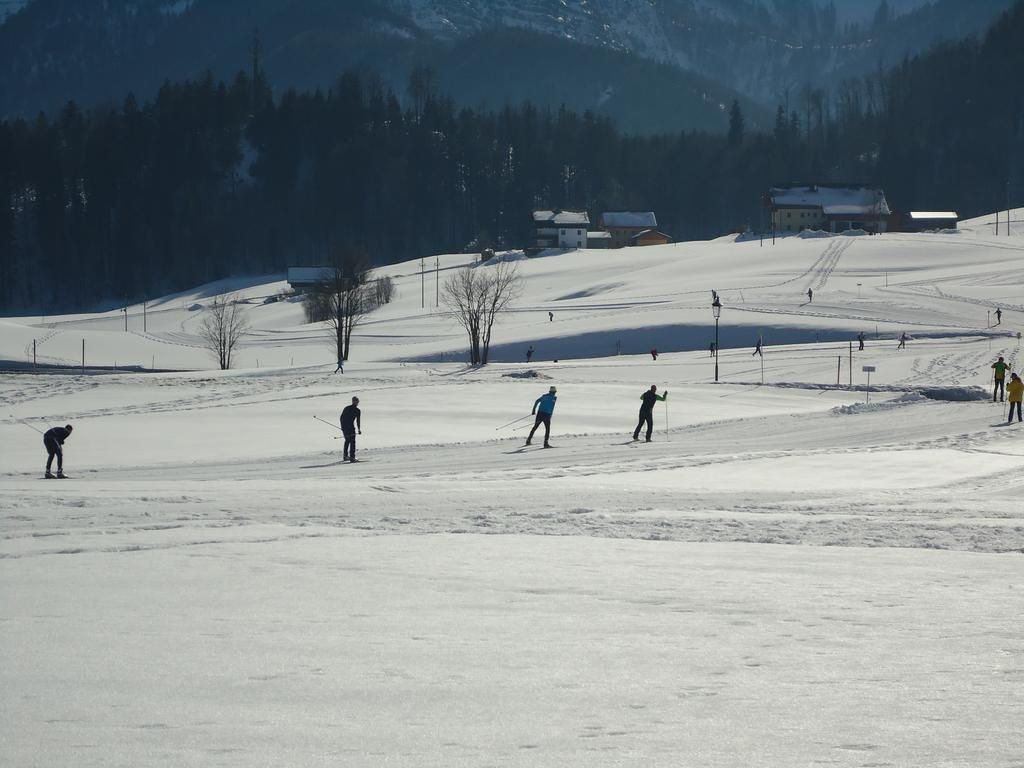 Pension Wald Faistenau Luaran gambar
