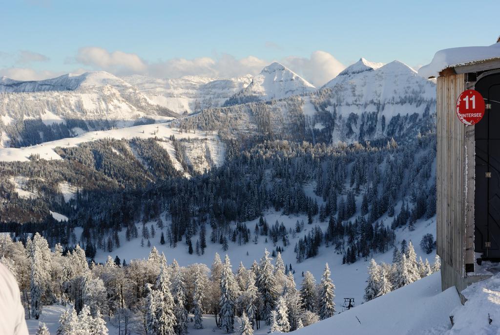 Pension Wald Faistenau Luaran gambar